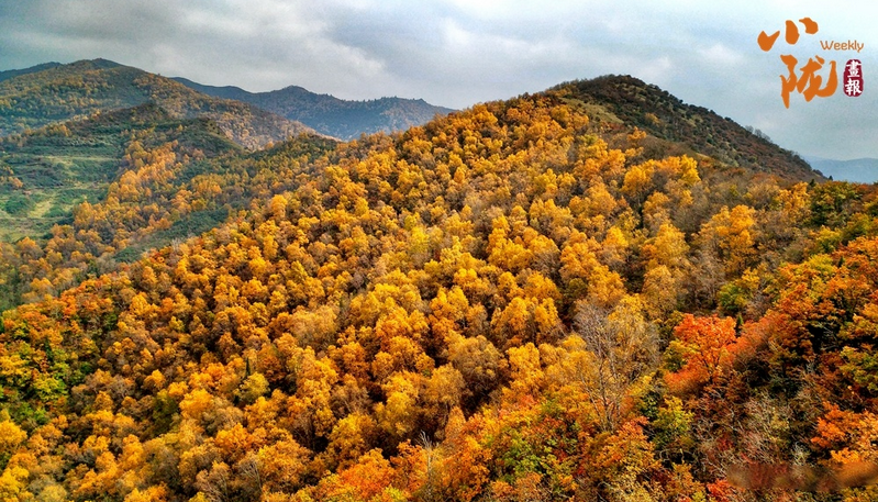 【小陇画报·562期】兰州：秋染山寨梁 美景入画来